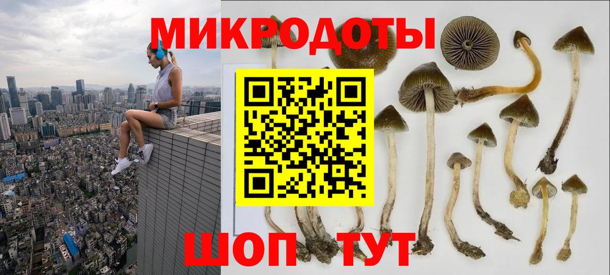Псилоцибиновые грибы мухоморы Дербент