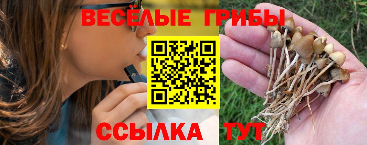 Псилоцибиновые грибы Magic Shrooms  Вход с VPN  Дербент 